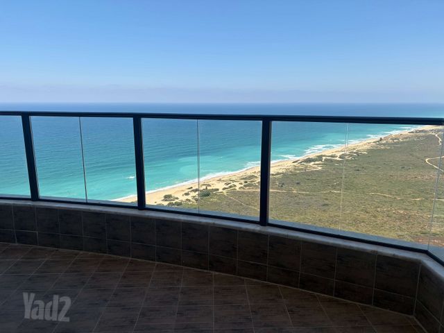 הקונכייה 1