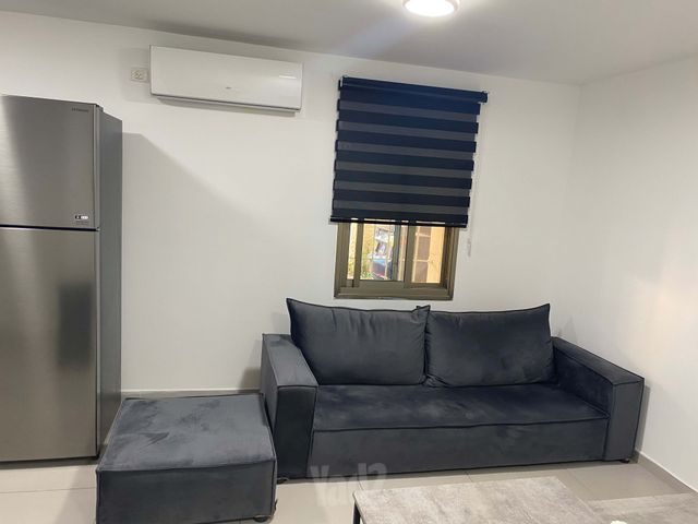 ברוש 95