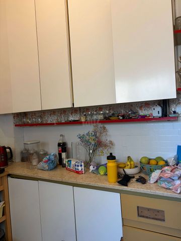 יהודה הלוי 54