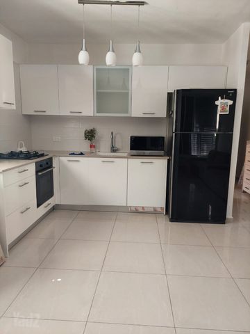 דוד וולפסון 29