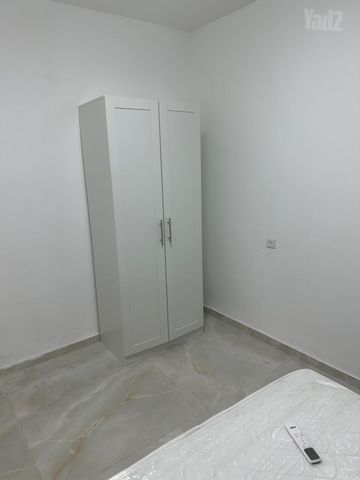 השיקמה 33