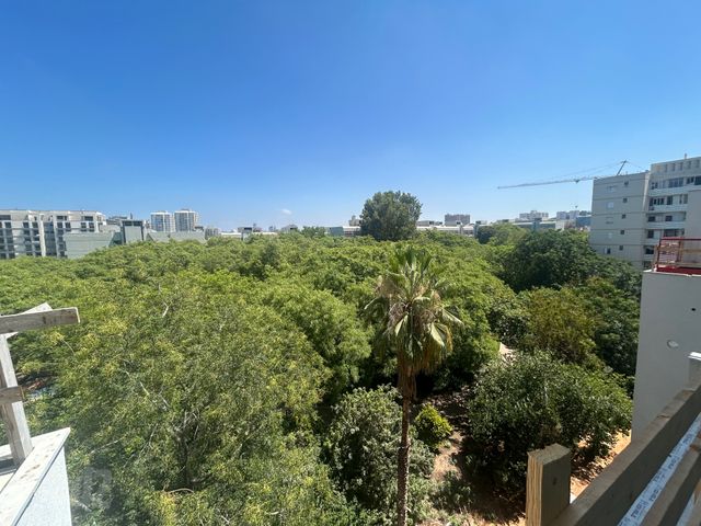 רמת אביב