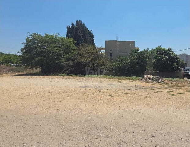 קורנית 