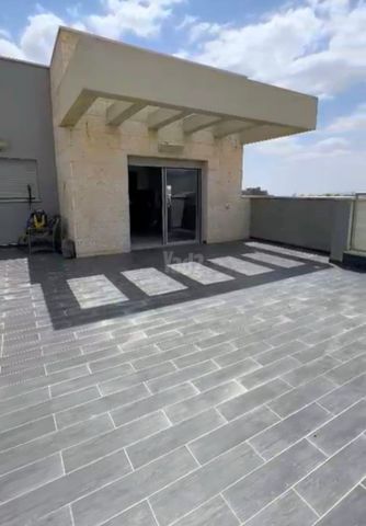 כנרת 