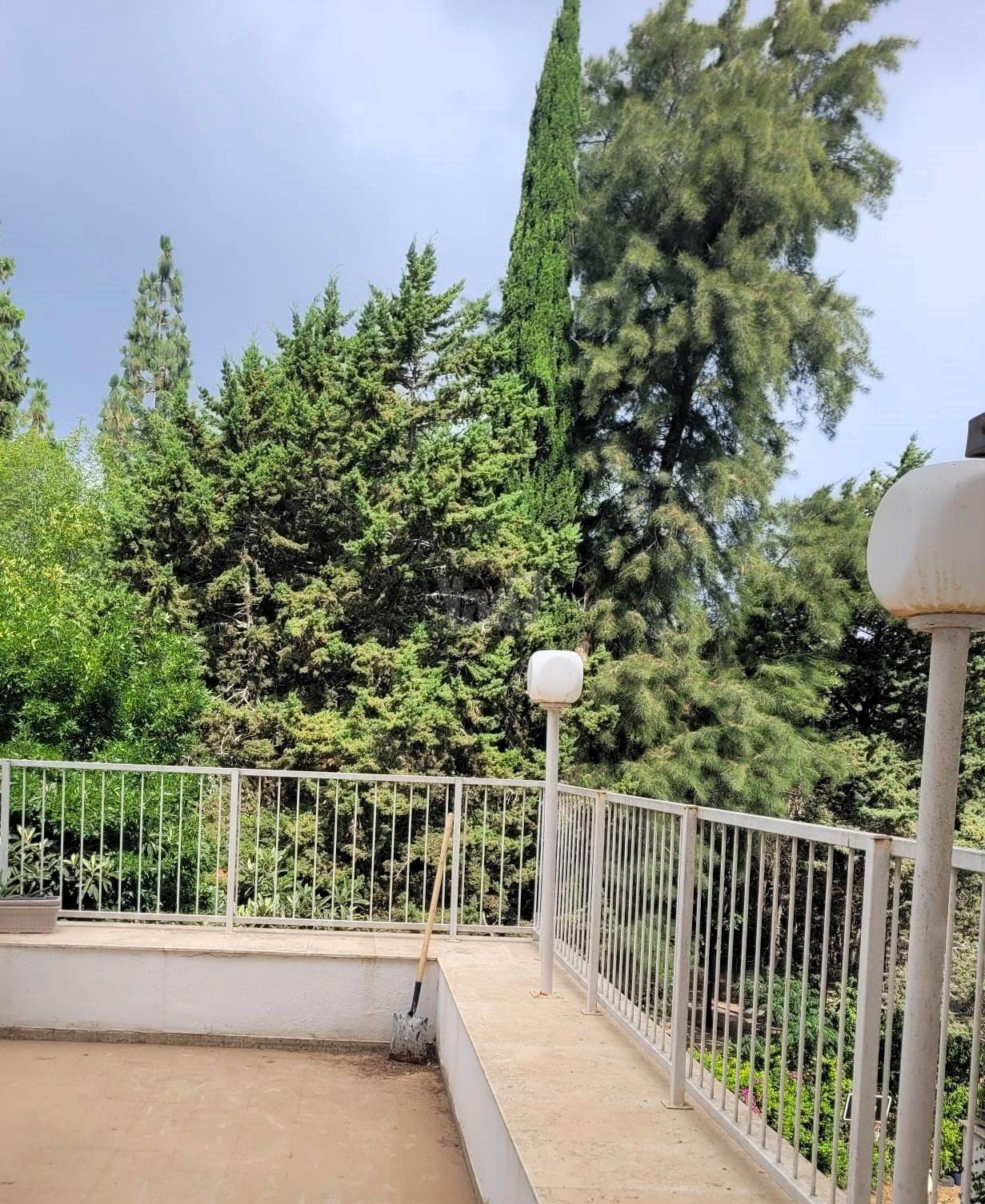 דירה, רמת אלון, חיפה