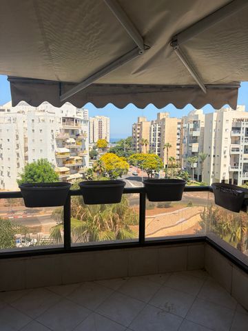 שבט דן 