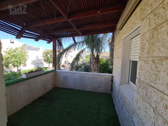 דוד ניב 