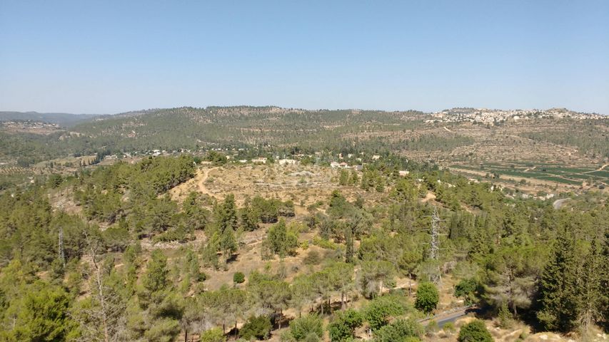 בית פרטי/ קוטג' להשכרה בירושלים (תיווך) — 2