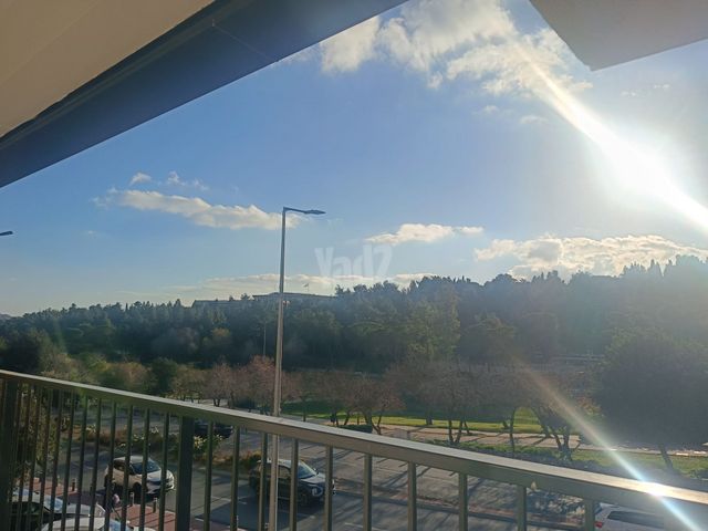 דירה להשכרה בירושלים (תיווך) — 3