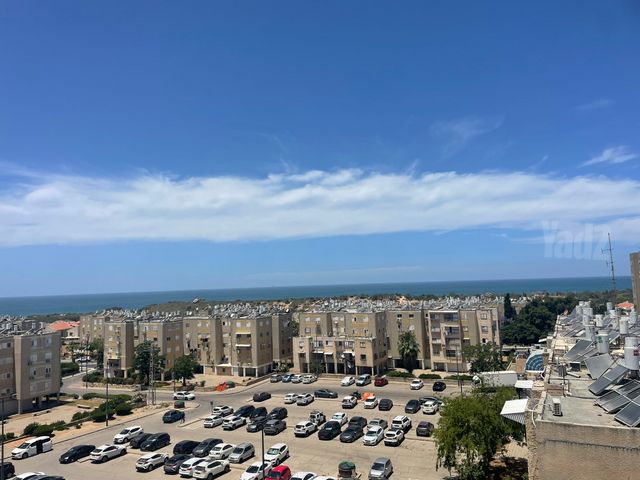 משה יוליש 
