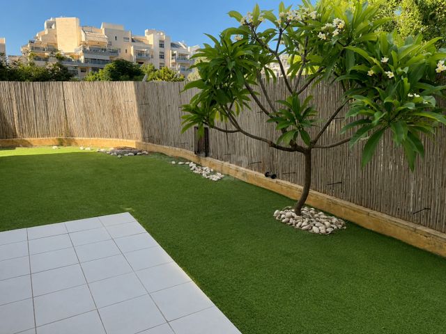 שלמה וחיה אנגל 14