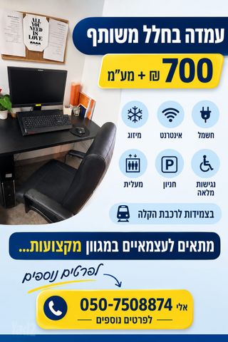 הרב ניסנבאום 