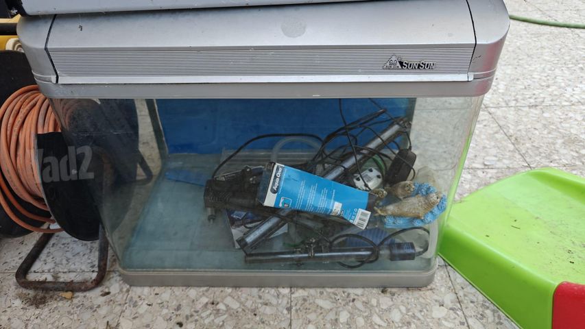 תמונת מודעה - חיות מחמד