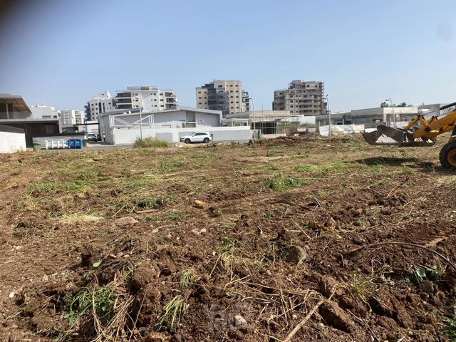סהרון 15