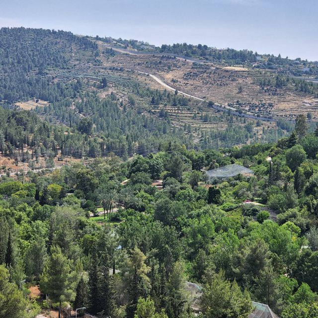 דירה למכירה בירושלים — 4