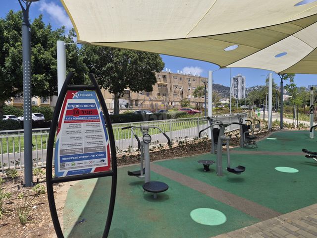 נרקיסים 6