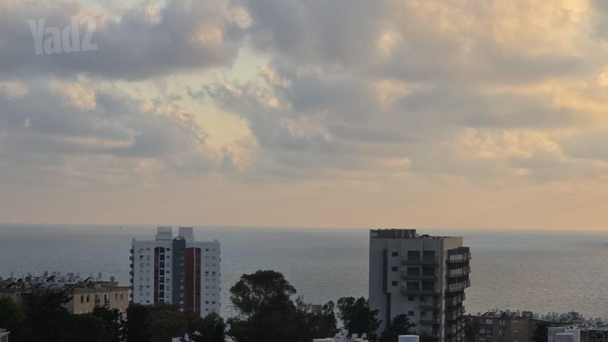 כרמיה 13