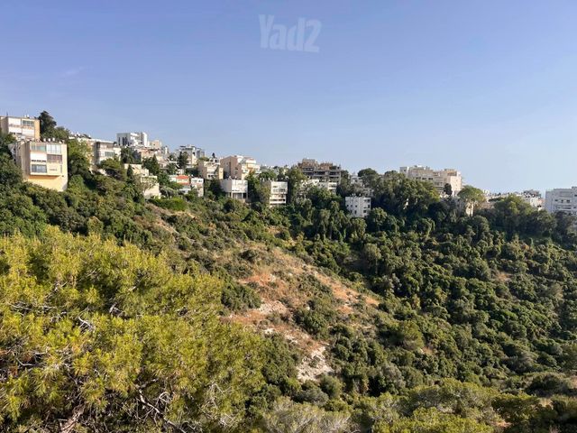 בית לחם 23