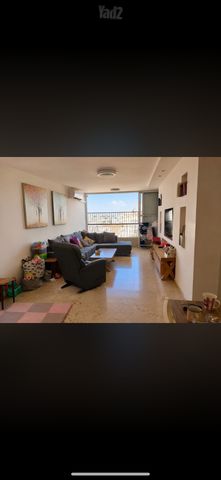 אריה שנקר 29