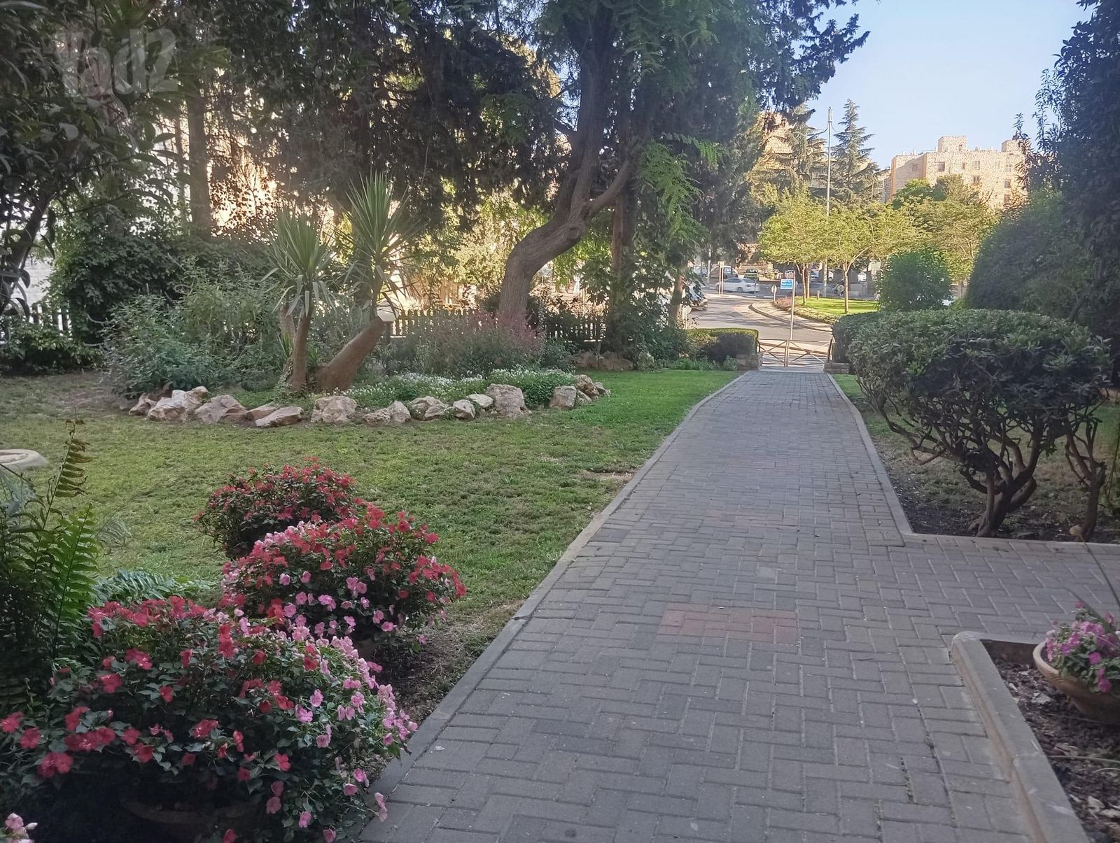 דירה, בר כוכבא 3, הגבעה הצרפתית, גבעת שפירא, ירושלים