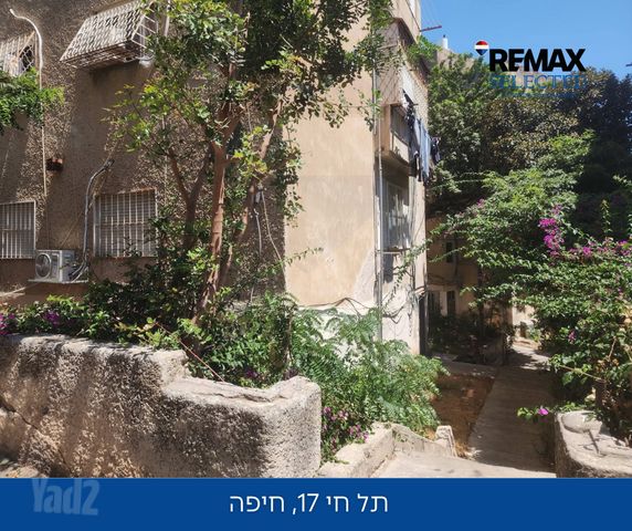 תל חי 17
