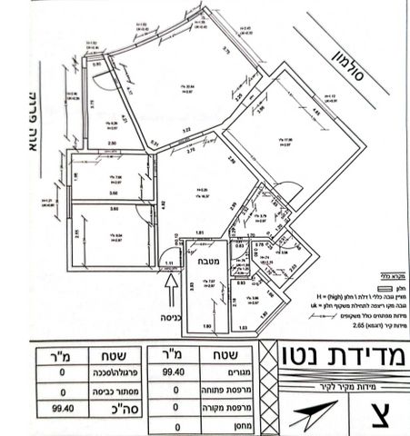 סלומון 