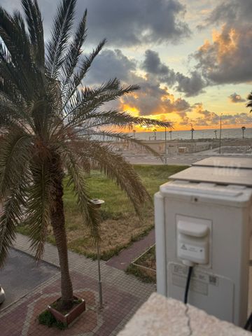 משה שפירא