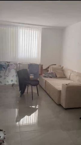 דירה, אשקלון