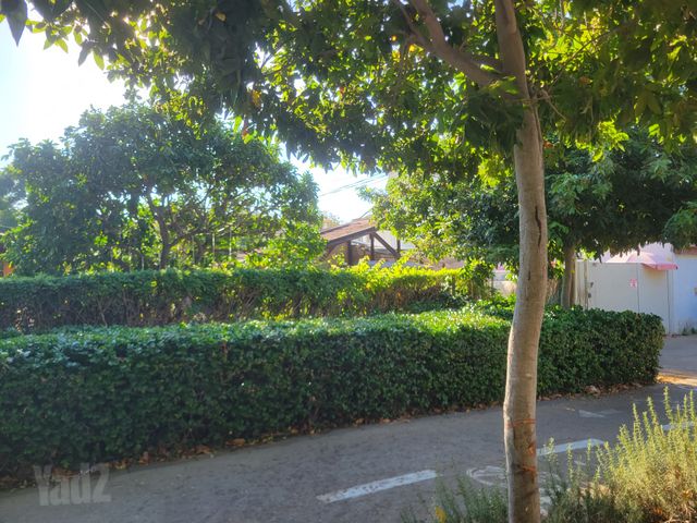 עלייה