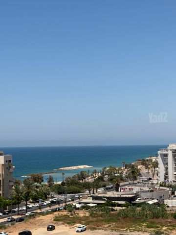 משה דיין 