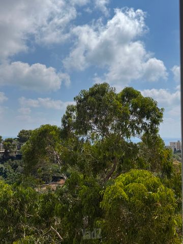 דוד בר רב האי 