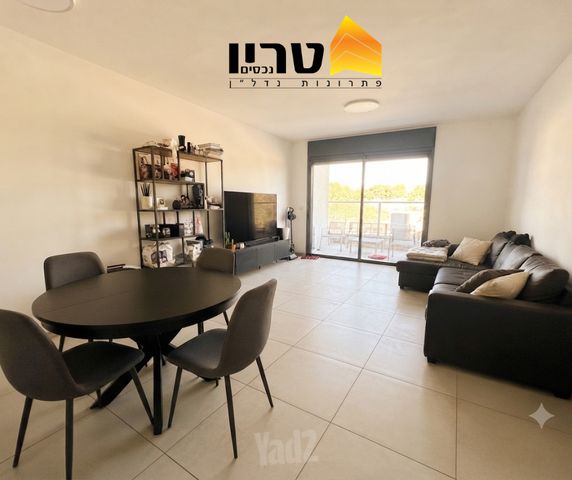 הרב דב הכהן קוק 