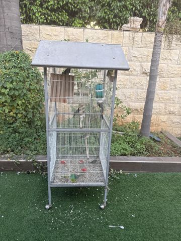 תמונת מודעה - חיות מחמד