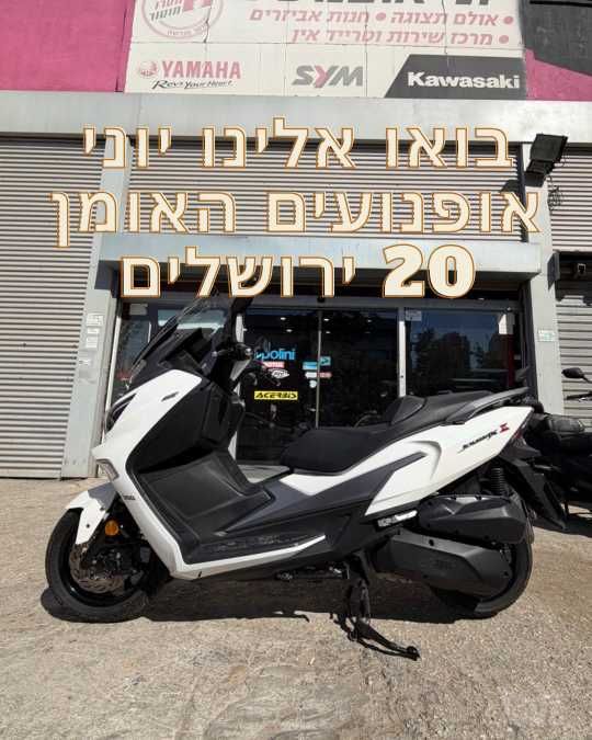 סאן יאנג ג'וי-מקס Z-300