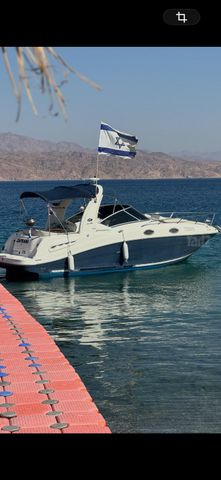 מודעת רכב Sea ray