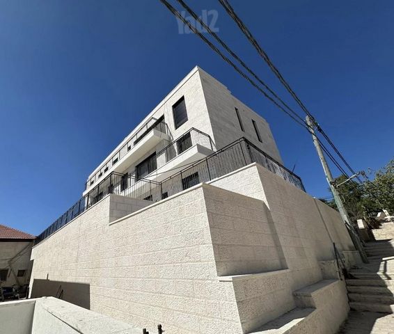גפן 13