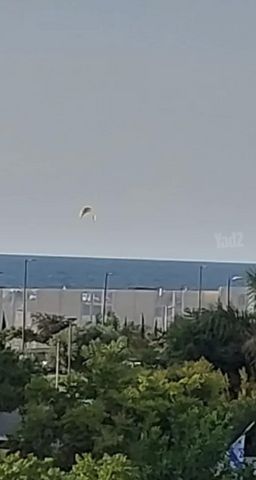 פלמינגו 4