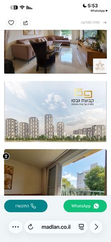 זלמן מייזל 20