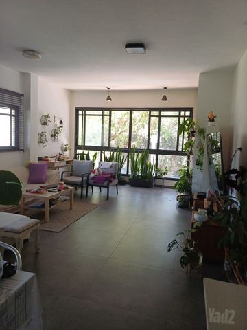 המאור 11