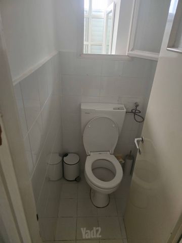 ד"ר כהן 2