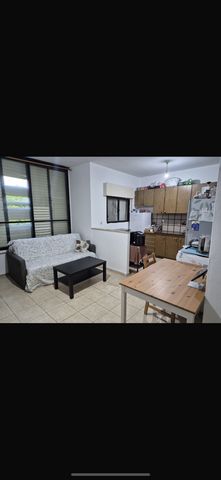 דרך עכו חיפה 137