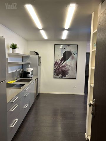 מרתף/ פרטר להשכרה בתל אביב יפו — 2