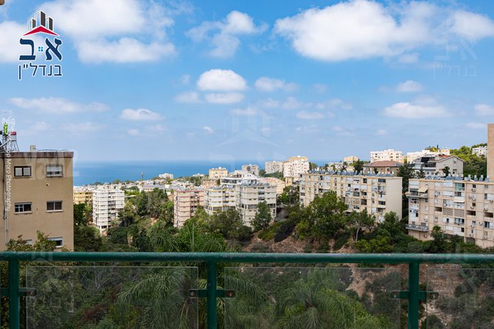 הדולב 