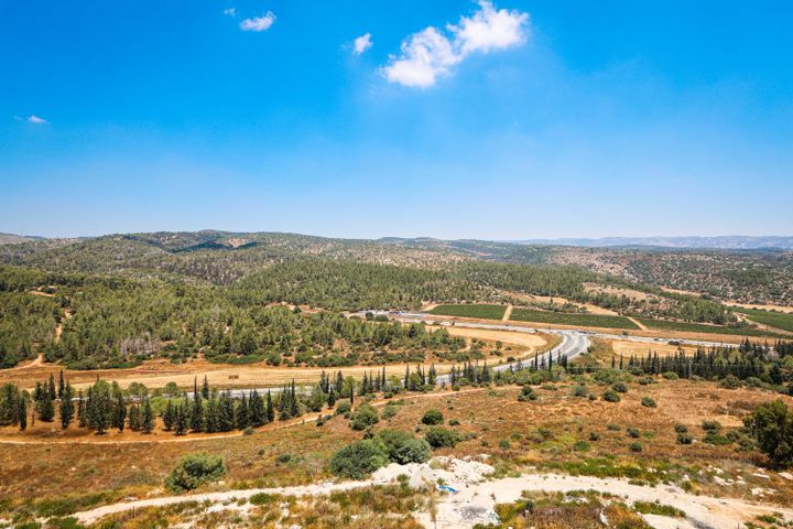 רועי קליין 