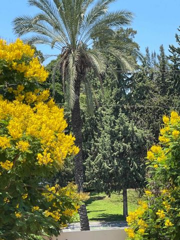 דירה למכירה בתל אביב יפו (תיווך) — 2