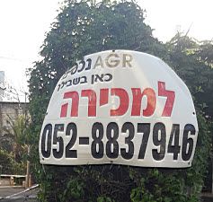 לסטר/רבוצקי