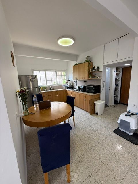 המלך שלמה 