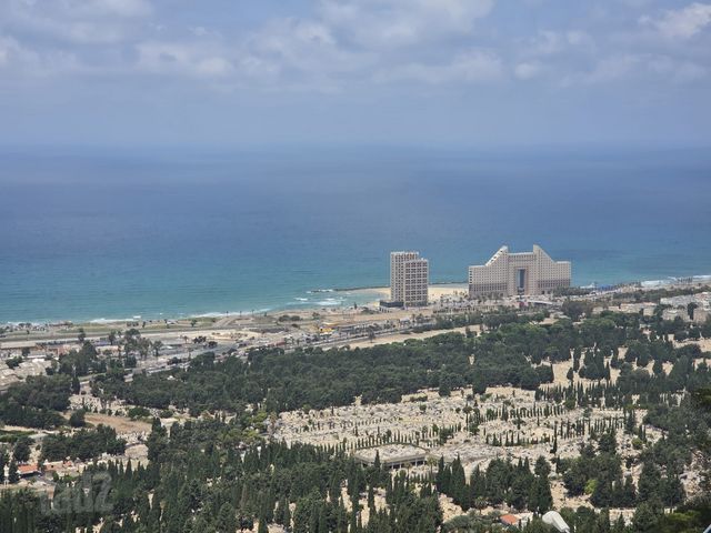 שלומציון המלכה 