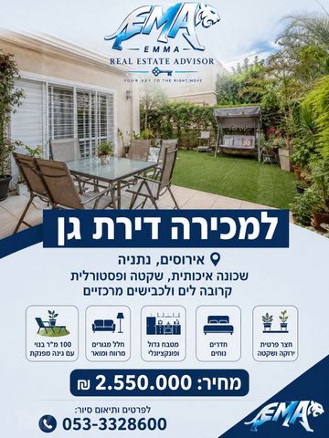 אירוס הארגמן 