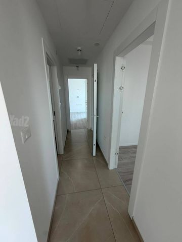 דירה להשכרה בתל אביב יפו (תיווך) — 4